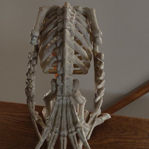 Realistic Rubbery Skeleton Vulture 14" Length x 10" Height - Picture 5 of 5